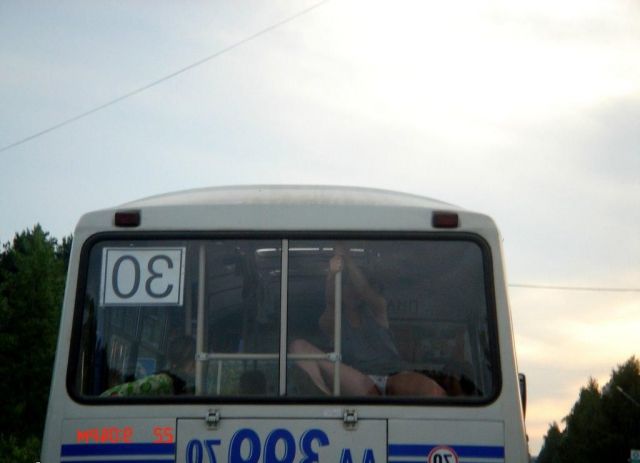 Пьяная девчонка шокировала автомобилистов и пассажиров автобуса